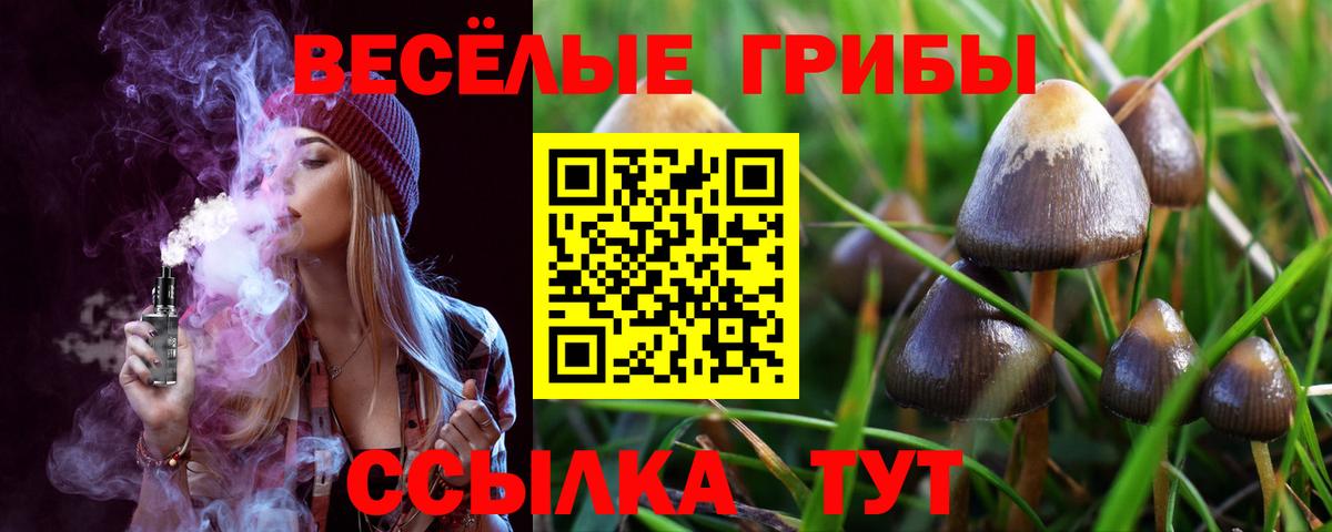 Звенигород  Псилоцибиновые грибы мухоморы  Псилоцибиновые грибы прущие грибы  Вход с VPN 